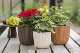 Capi 'made with' groove bol bloempot 13x12 cm warme taupe - afbeelding 2