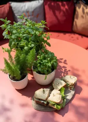 Capi 'made with' groove bol bloempot 26x23 cm groen - afbeelding 3