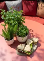 Capi 'made with' groove bol bloempot 26x23 cm groen - afbeelding 3