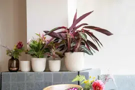 Capi 'made with' groove bol bloempot 26x23 cm zaagsel beige - afbeelding 2