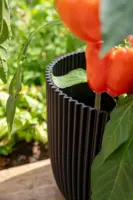 Capi 'made with' groove bol bloempot 26x23 cm zwart - afbeelding 3