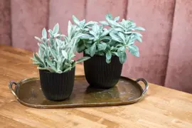 Capi 'made with' groove bol bloempot 26x23 cm zwart - afbeelding 2