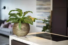 Capi nature bol rib nl kunststof bloempot 40x32 cm zwart goud - afbeelding 2