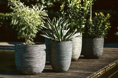 Capi nature bol rib nl kunststof bloempot 43x41 cm antraciet - afbeelding 2