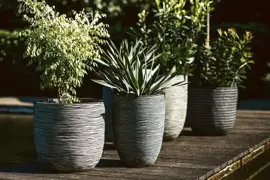 Capi nature bol rib nl kunststof bloempot 43x41 cm antraciet - afbeelding 2