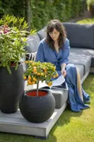 Capi nature bol rib nl kunststof vaas 40x32 cm zwart - afbeelding 4