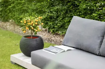 Capi nature bol rib nl kunststof vaas 40x32 cm zwart - afbeelding 3