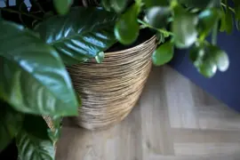 Capi nature elegant laag rib nl kunststof bloempot 34x46 cm zwart, goud - afbeelding 3