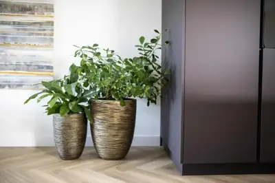 Capi nature elegant laag rib nl kunststof bloempot 34x46 cm zwart goud - afbeelding 2