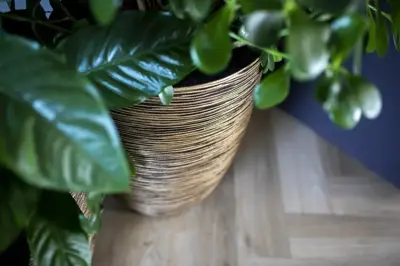 Capi nature elegant laag rib nl kunststof bloempot 34x46 cm zwart goud - afbeelding 3