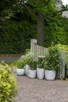 Capi nature elegant laag rib nl kunststof vaas 34x46 cm ivoor - afbeelding 3