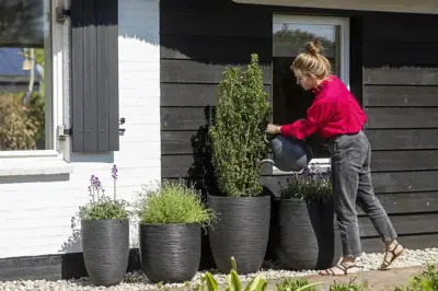 Capi nature elegant laag rib nl kunststof vaas 34x46 cm zwart - afbeelding 3