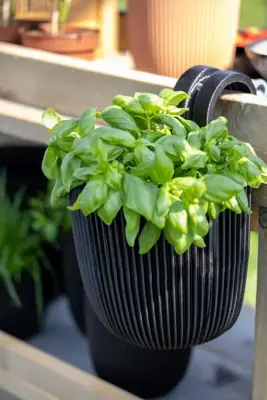 Capi nature groove bol balkonbak 21x28 cm groen - afbeelding 3