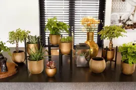 Capi nature groove bol bloempot 12x10 cm zwart goud - afbeelding 2