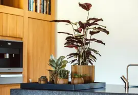 Capi nature groove bol bloempot 12x10 cm zwart goud - afbeelding 6