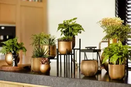 Capi nature groove bol bloempot 18x16 cm zwart goud - afbeelding 3