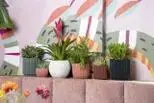 Capi nature groove bol bloempot 22x18 cm beige - afbeelding 2