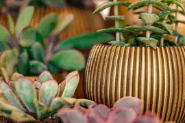 Capi nature groove bol bloempot 23x19 cm zwart goud - afbeelding 2
