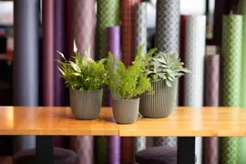Capi nature groove bol bloempot 26x23 cm groen - afbeelding 2