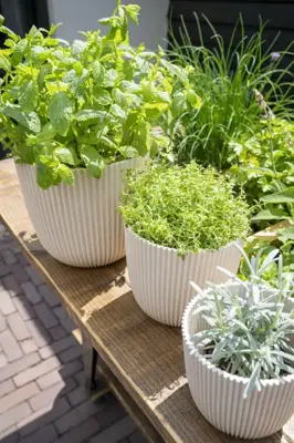 Capi nature groove bol bloempot 26x23 cm zaagsel beige - afbeelding 3