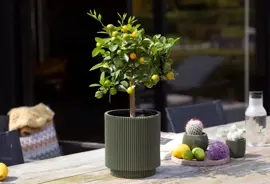 Capi nature groove cilinder bloempot 19x21 cm groen - afbeelding 2