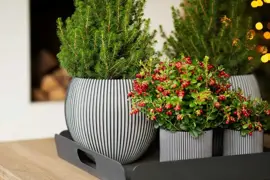 Capi nature groove cilinder bloempot 8x9 cm zwart - afbeelding 2
