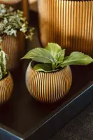 Capi nature groove indoor bol bloempot 12x10 cm zwart goud - afbeelding 4