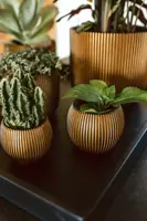 Capi nature groove indoor bol bloempot 12x10 cm zwart goud - afbeelding 5