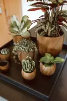 Capi nature groove indoor bol bloempot 17x14 cm zwart goud - afbeelding 5