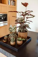 Capi nature groove indoor bol bloempot 17x14 cm zwart goud - afbeelding 7