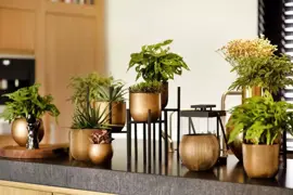 Capi nature groove indoor bol bloempot 17x14 cm zwart goud - afbeelding 3