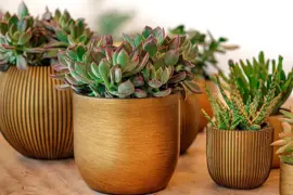 Capi nature groove indoor bol bloempot 18x16 cm zwart goud - afbeelding 2