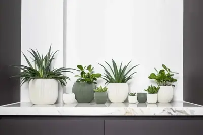 Capi nature groove indoor bol bloempot 21x19 cm groen - afbeelding 2