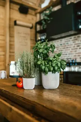 Capi nature groove indoor bol bloempot 24x21 cm ivoor - afbeelding 3