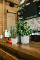 Capi nature groove indoor bol bloempot 24x21 cm ivoor - afbeelding 3