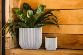 Capi nature groove indoor bol bloempot 24x21 cm ivoor - afbeelding 2