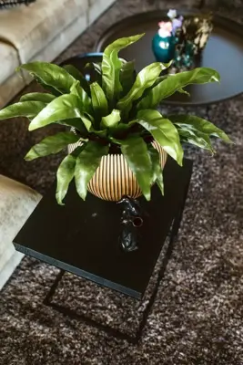 Capi nature groove indoor bol bloempot 29x25 cm zwart goud - afbeelding 5