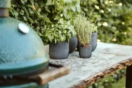 Capi nature groove indoor bol bloempot 9x8 cm zwart - afbeelding 2