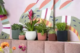 Capi nature groove indoor cilinder bloempot 11x12 cm zwart - afbeelding 2