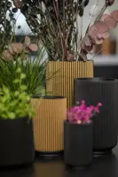 Capi nature groove indoor hoog vaas 14x22 cm zwart goud - afbeelding 2