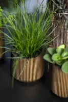Capi nature groove indoor sandbag bloempot 10x9 cm zwart goud - afbeelding 2