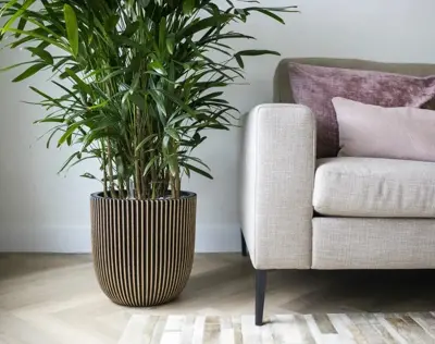 Capi nature groove nl bol bloempot 35x34 cm zwart goud - afbeelding 2