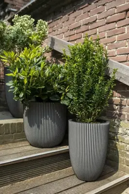 Capi nature groove nl bol bloempot 43x41 cm antraciet - afbeelding 2