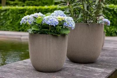 Capi nature groove nl bol bloempot 43x41 cm warme taupe - afbeelding 2