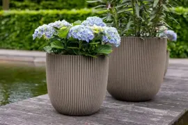 Capi nature groove nl bol bloempot 43x41 cm warme taupe - afbeelding 2