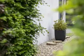 Capi nature groove nl bol bloempot 43x41 cm zwart - afbeelding 2