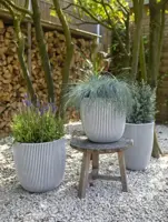Capi nature groove nl bol bloempot 54x52 cm ivoor - afbeelding 3