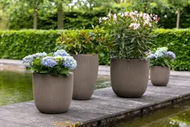 Capi nature groove nl bol bloempot 54x52 cm warme taupe - afbeelding 4