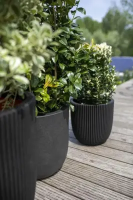 Capi nature groove nl bol bloempot 54x52 cm zwart - afbeelding 3