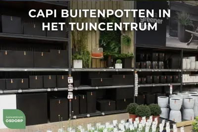 Capi nature groove nl cilinder bloempot 44x46 cm zwart goud - afbeelding 2